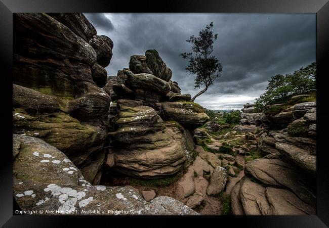 Brimham Rocks natural sandstone Framed Print by Alec Hey