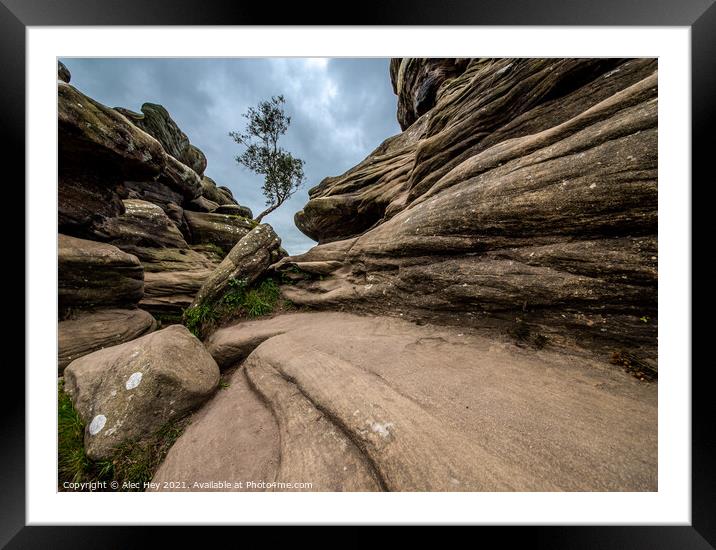 Brimham Rocks natural sandstone Framed Mounted Print by Alec Hey