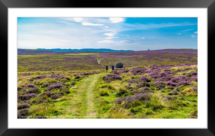 A Purple Heathered Yorkshire Journey Framed Mounted Print by Margaret Ryan