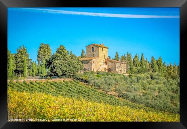 Tuscan Vineyard Framed Print by Margaret Ryan