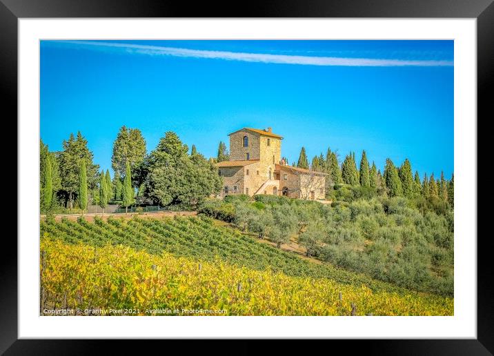 Tuscan Vineyard Framed Mounted Print by Margaret Ryan