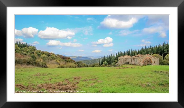 Rolling hills of Tuscany Framed Mounted Print by Margaret Ryan
