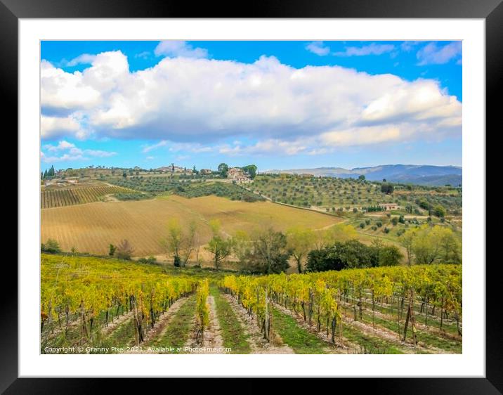 Rural Tuscany Framed Mounted Print by Margaret Ryan