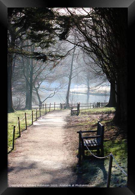 Enchanting Misty Stourhead Gardens Framed Print by Antony Robinson
