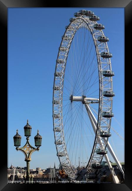 London Eye Framed Print by Antony Robinson