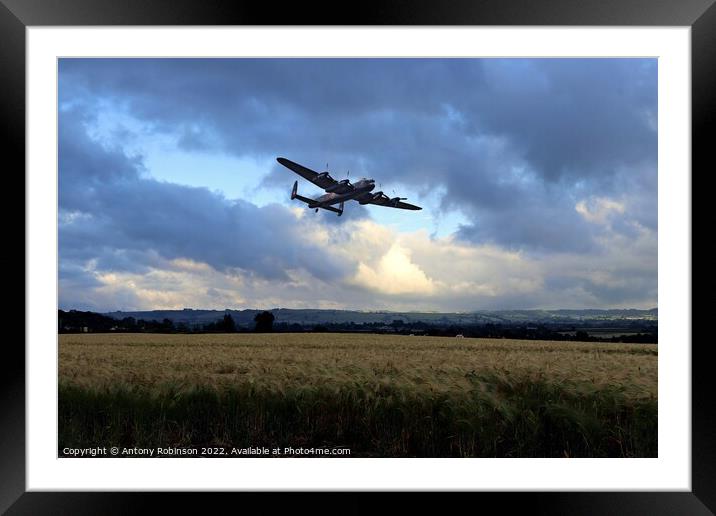 Lancaster returns from mission Framed Mounted Print by Antony Robinson