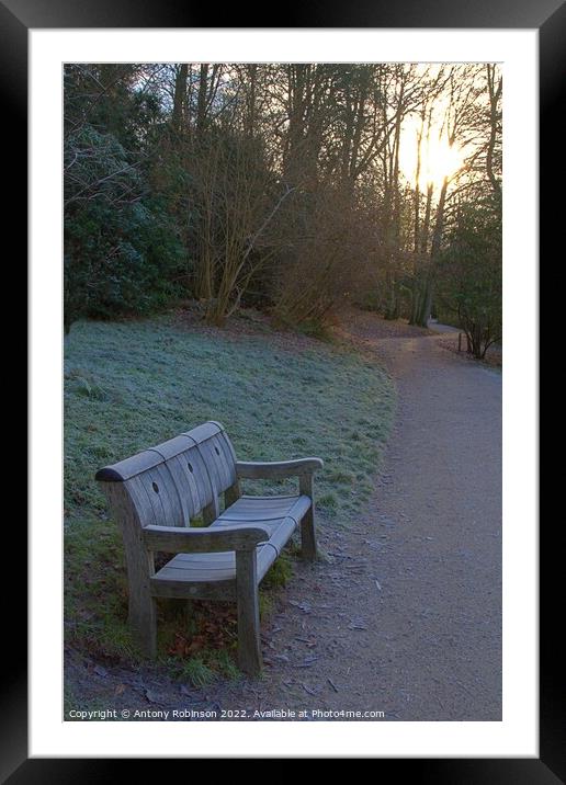 Frosty bench in the park Framed Mounted Print by Antony Robinson
