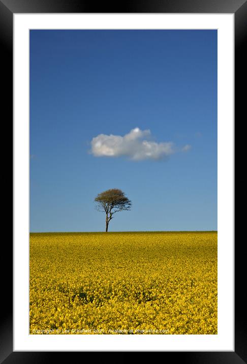 Cloud Tree  Field  Framed Mounted Print by Les Schofield