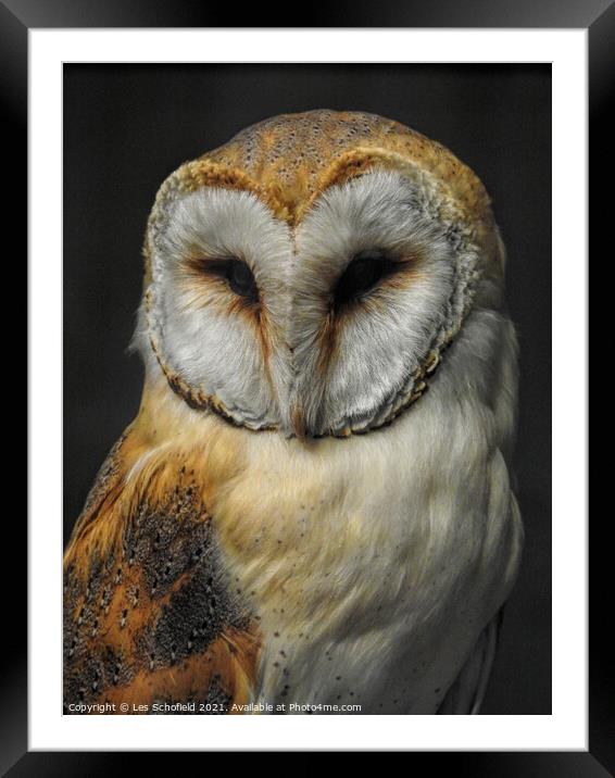 Barn Owl Framed Mounted Print by Les Schofield