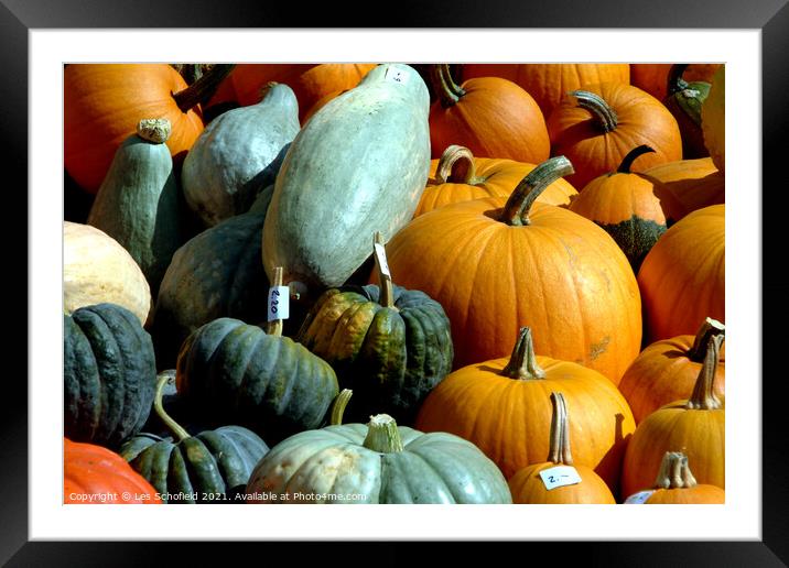 Pumpkins  Framed Mounted Print by Les Schofield