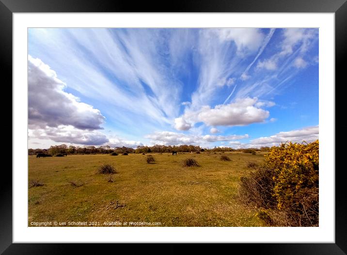 New Forest  sky Framed Mounted Print by Les Schofield