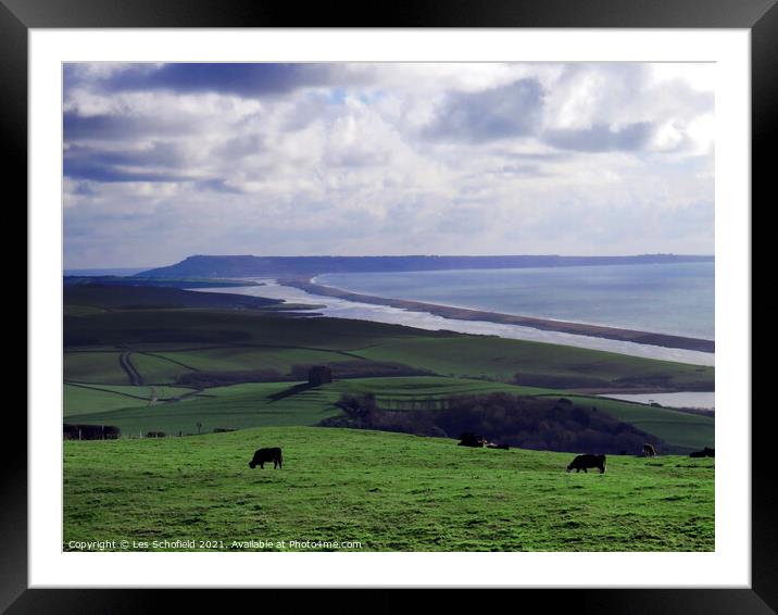 Chesil Beach Dorset Framed Mounted Print by Les Schofield