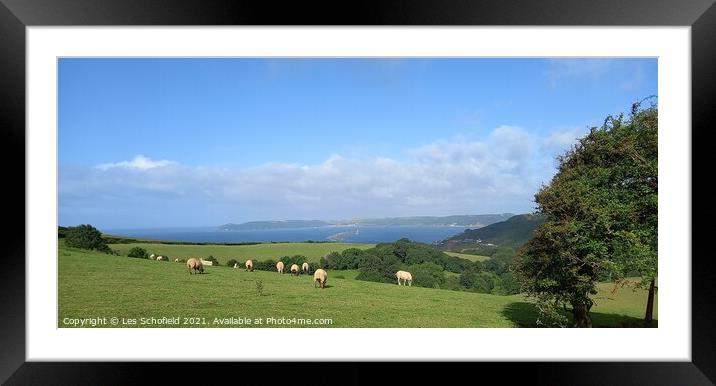Outdoor grass Framed Mounted Print by Les Schofield
