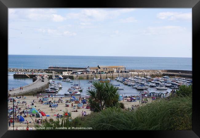 A Panoramic View of Lyme Regis Harbour Framed Print by Les Schofield