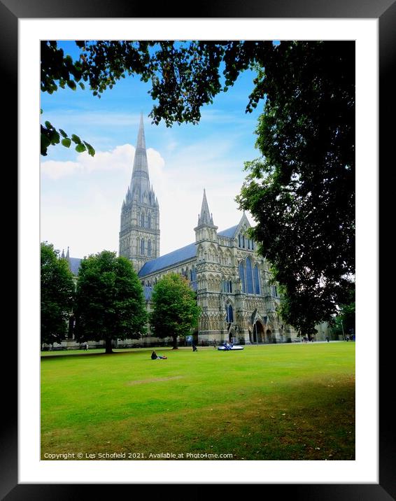 Salisbury cathedral  Framed Mounted Print by Les Schofield