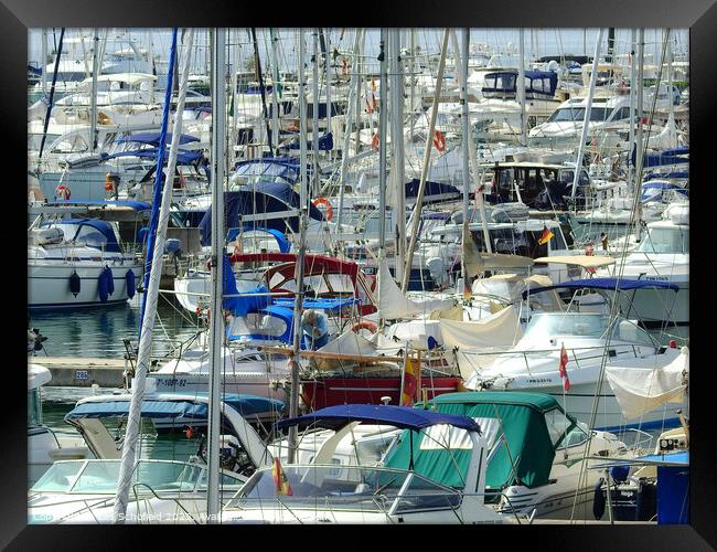 Boats  Framed Print by Les Schofield