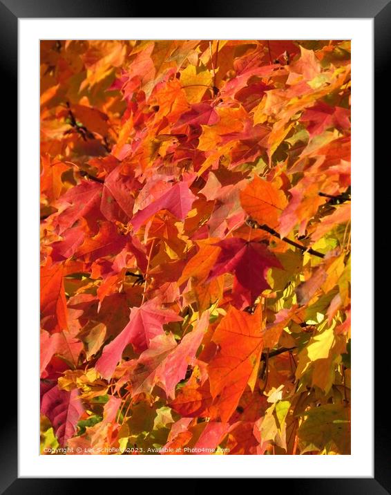 Autumn  leaves Framed Mounted Print by Les Schofield
