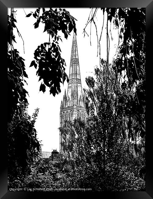 Majestic Salisbury Cathedral in Monochrome Framed Print by Les Schofield