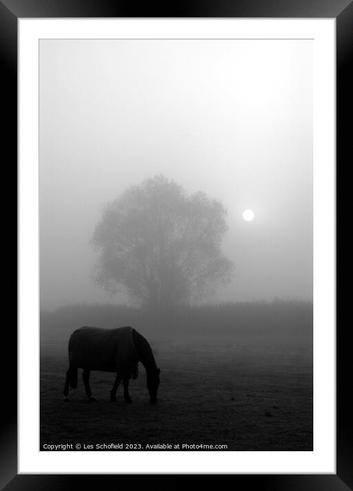 Misty Morning Equine Serenity Framed Mounted Print by Les Schofield