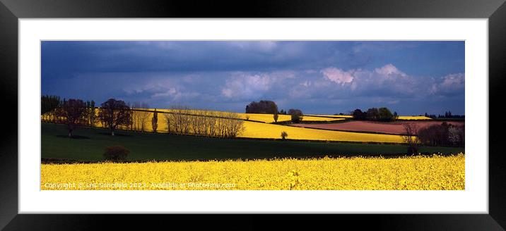 Golden Fields of Devon Framed Mounted Print by Les Schofield