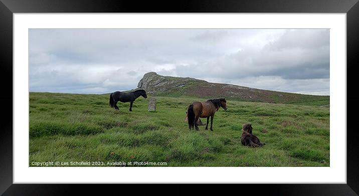 Majestic Dartmoor Ponies Framed Mounted Print by Les Schofield