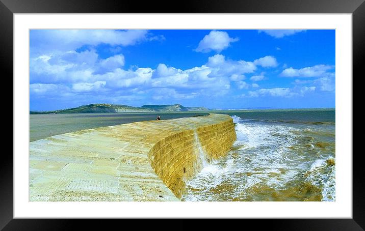 The cob Lyme Regis  Framed Mounted Print by Les Schofield