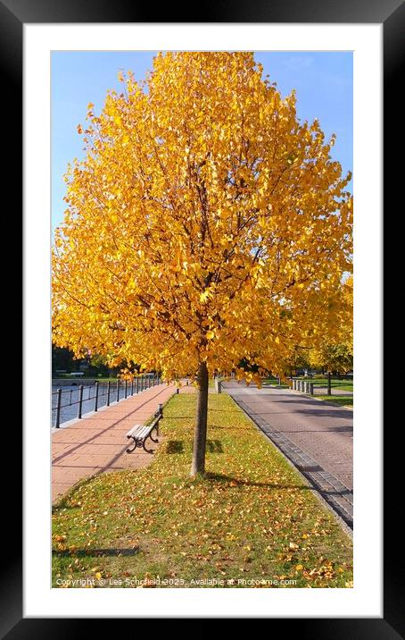 Autumn  Framed Mounted Print by Les Schofield