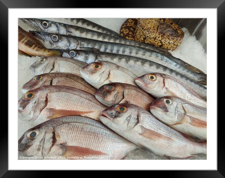 Fish platter  Framed Mounted Print by Les Schofield