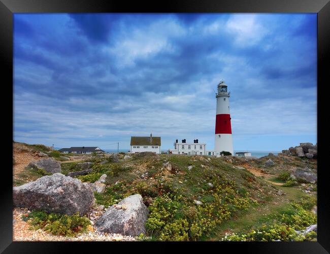 Portland Bill Lighthouse Framed Print by Les Schofield