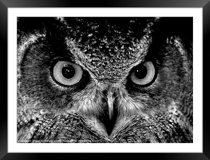 Owl eyes Framed Mounted Print by Les Schofield