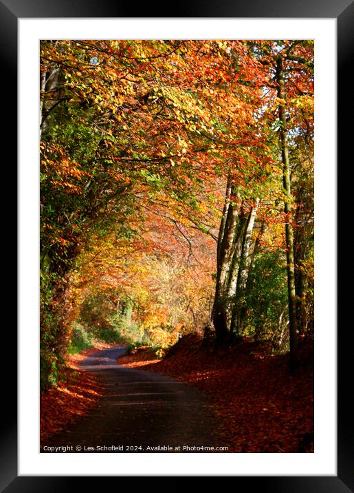Autumn Lane Framed Mounted Print by Les Schofield