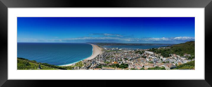 Chesil Beach Landscape  Framed Mounted Print by Les Schofield