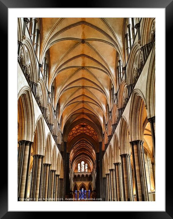 Salisbury cathedral  Framed Mounted Print by Les Schofield