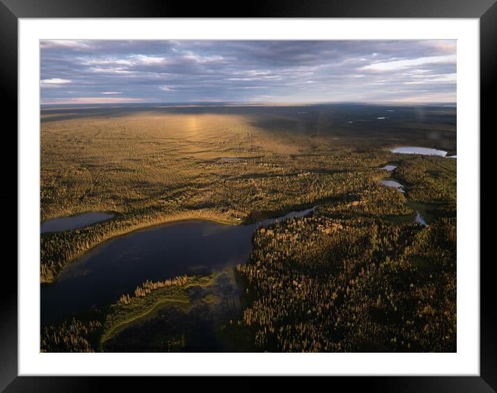 Boreal Forest Canada Framed Mounted Print by Marc Hill