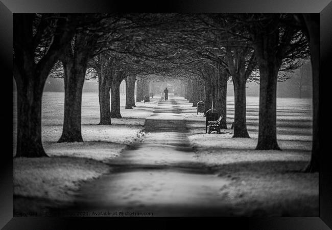 The Winter Walk Framed Print by Dave Harbon