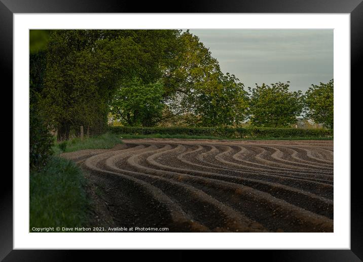 The Ploughed Field Framed Mounted Print by Dave Harbon