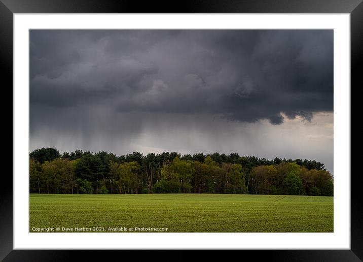 Shower above the woods Framed Mounted Print by Dave Harbon