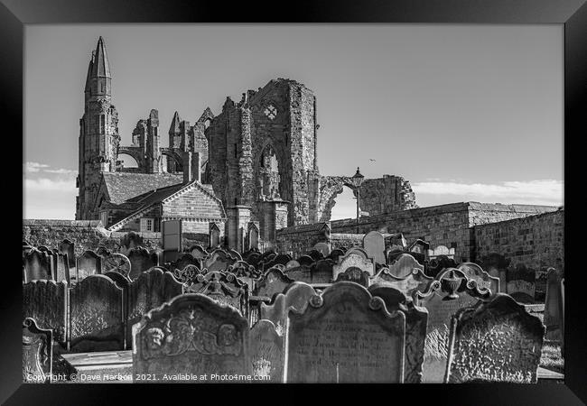 Whitby Abbey Framed Print by Dave Harbon