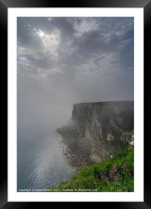 Bempton Cliffs in the Mist Framed Mounted Print by Dave Harbon