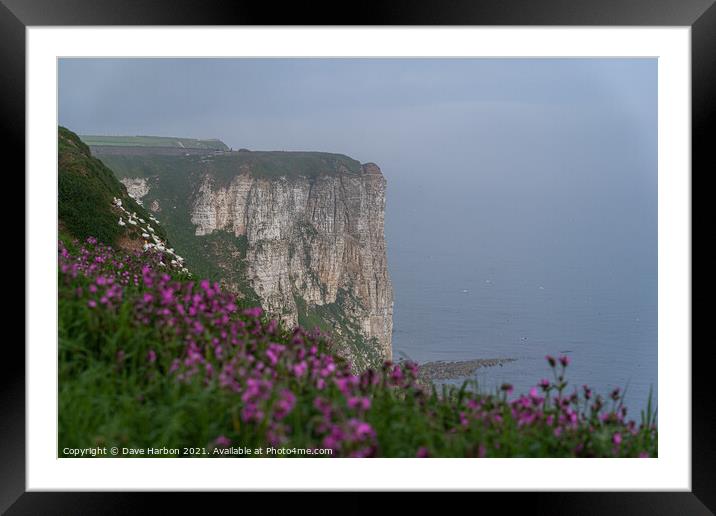 Bempton Cliffs and Red Campion Framed Mounted Print by Dave Harbon