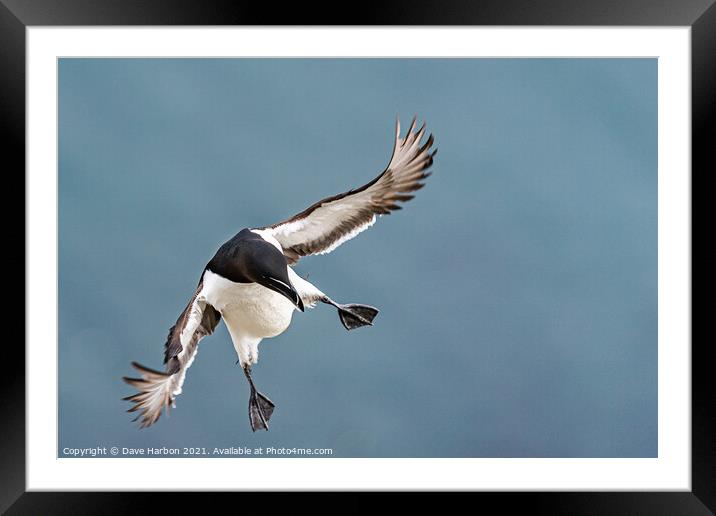 Clear For Landing Framed Mounted Print by Dave Harbon