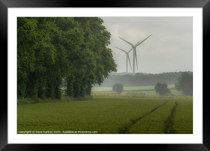 Summer Rain Framed Mounted Print by Dave Harbon