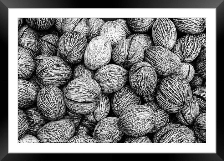 Abstract with palm seeds in black and white Framed Mounted Print by Marcin Rogozinski