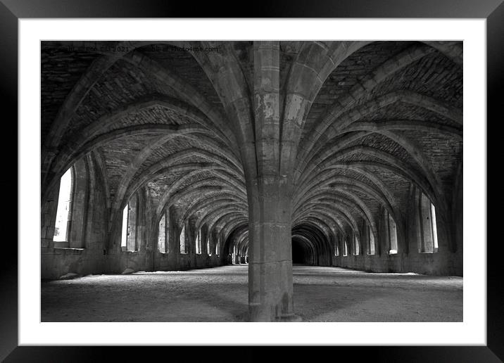 Fountains Abbey: A Timeless Treasure Framed Mounted Print by Ron Ella