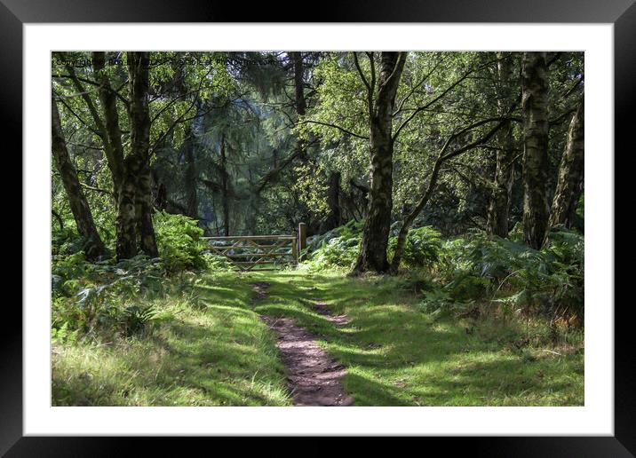 The Enchanted Gate Framed Mounted Print by Ron Ella