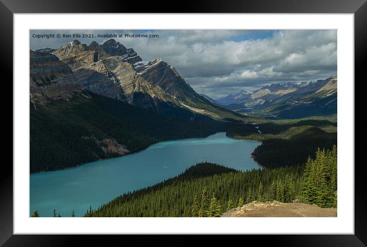 Milky Waters of Peyto Lake Framed Mounted Print by Ron Ella