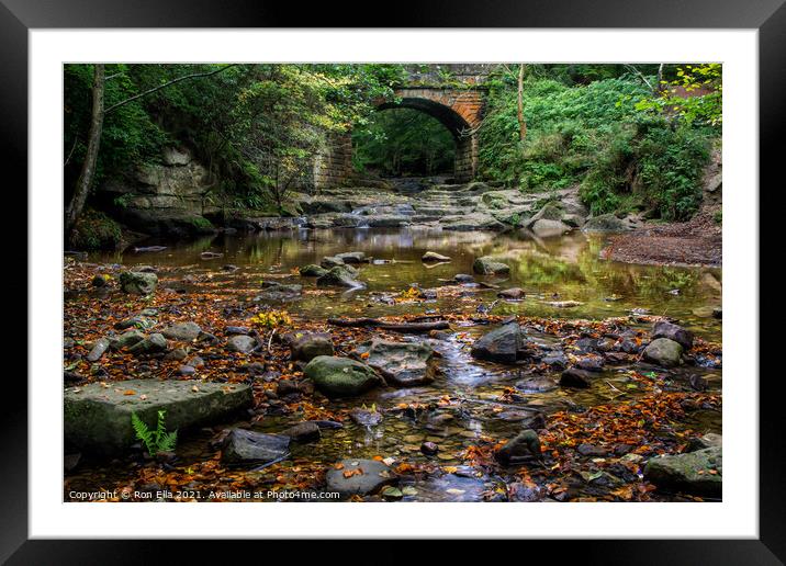 Autumnal Beauty at Falling Foss Framed Mounted Print by Ron Ella