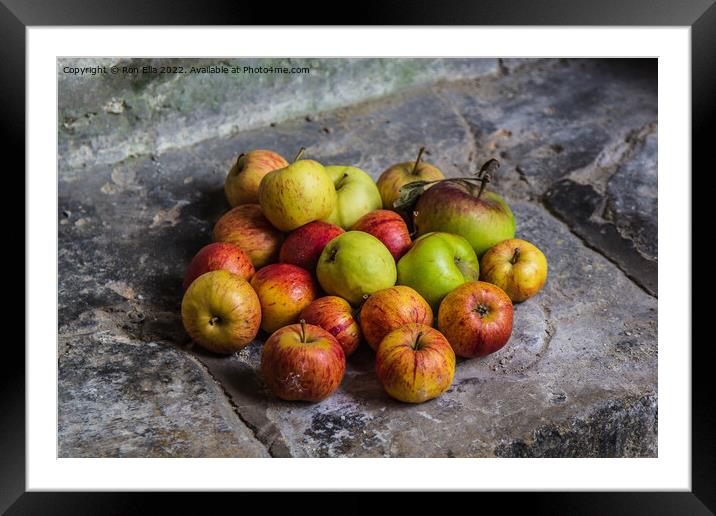 Harvest Delight Framed Mounted Print by Ron Ella