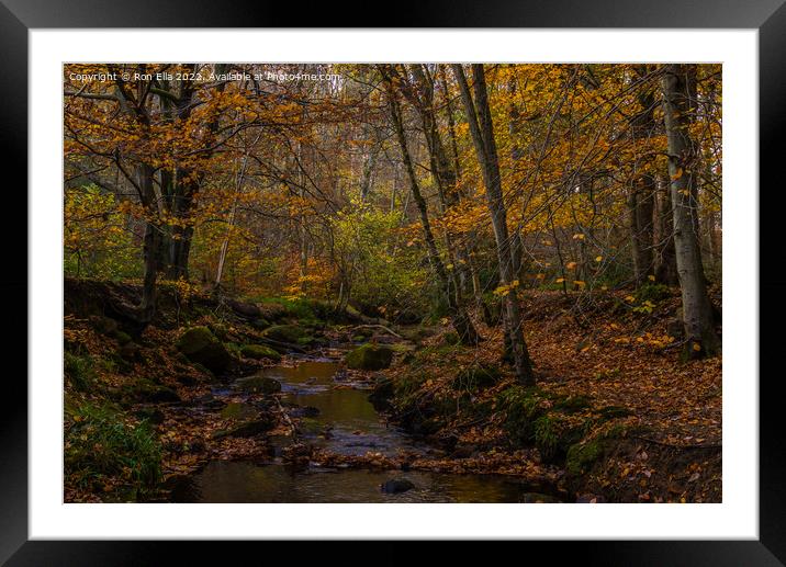 Autumnal Stream Framed Mounted Print by Ron Ella