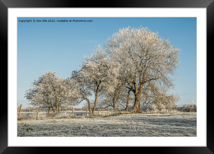 Icy Winter Wonderland Framed Mounted Print by Ron Ella